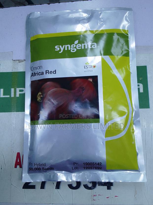 Africa Red Onion 50000 Seeds/200gms