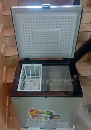 Icecool Best 60litres Deep Freezer