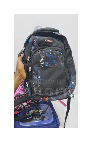 High Quality School/Laptop and Travel Backpack Bags