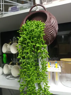 Artificial Hanging String of Pearls Vine With a Basket