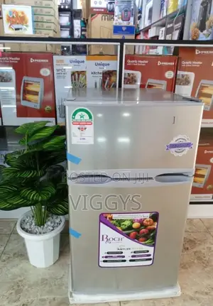 Roch 110 Dt Double Door Fridge