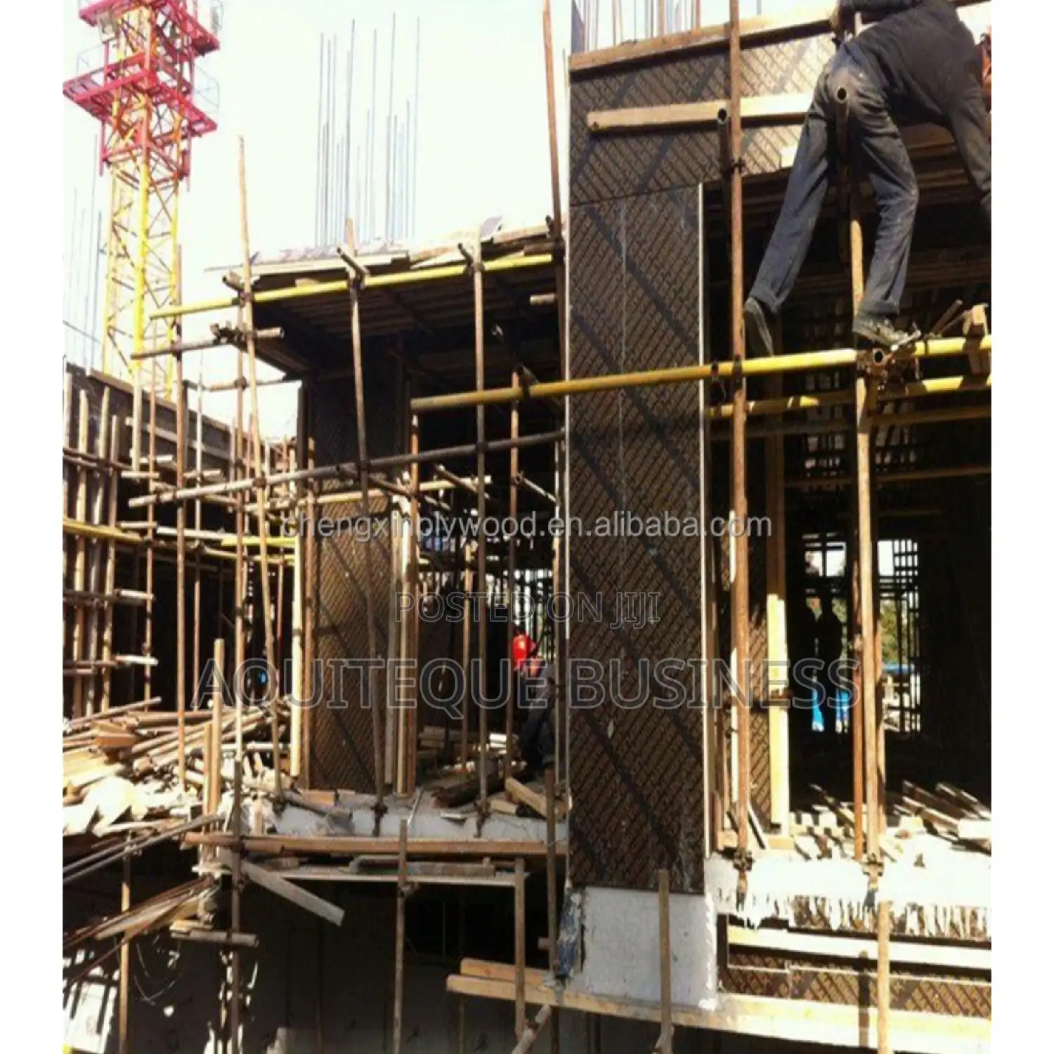 Marine Board in Wholesale Prices