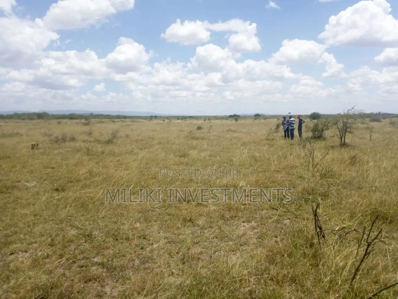 50 by 100 Plot on Sale at Juja Farm