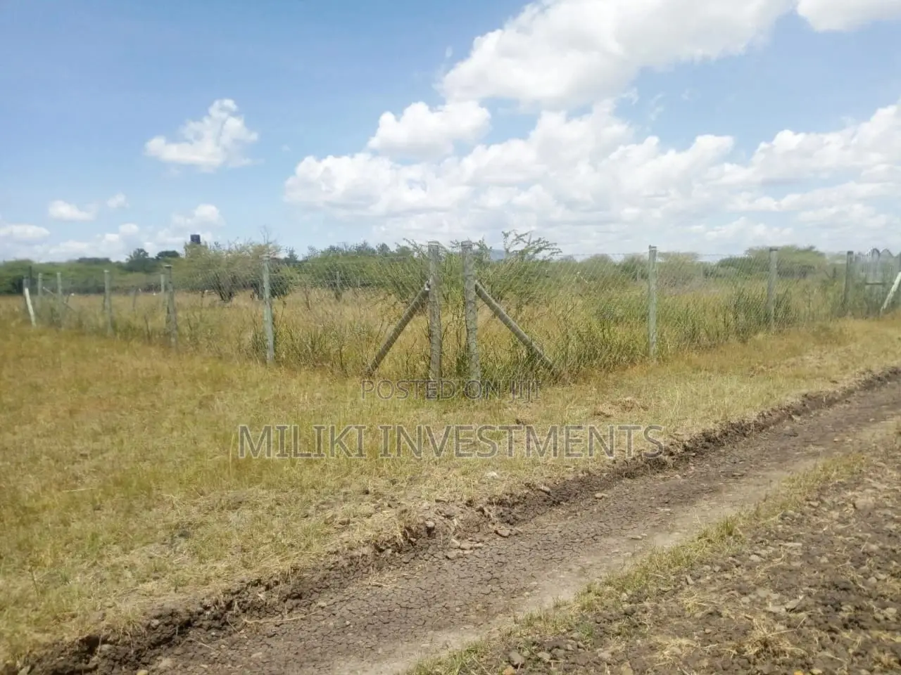 50 by 100 Plot on Sale at Juja Farm