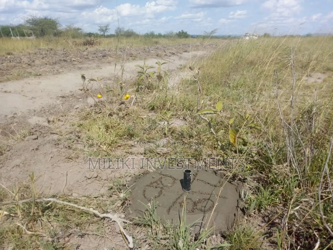 50 by 100 Plot on Sale at Juja Farm