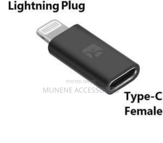 USB Type C to Lightning OTG Adapter for iPhone, iPad - main view