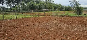 1⁄4 Plot For Sale In Chepkanga Eldoret