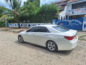 Toyota Mark X 2010 White