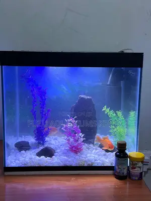 Full Accessorizes SMQLL Aquarium
