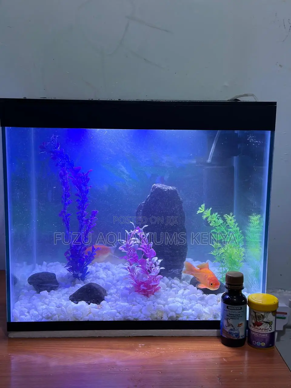 Full Accessorizes SMQLL Aquarium