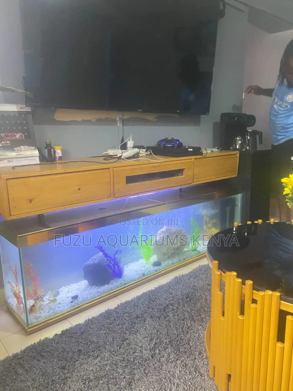 Golden Tv Stand Aquarium -Gold