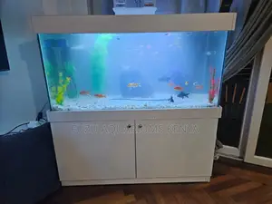 4 Feet New Aquarium