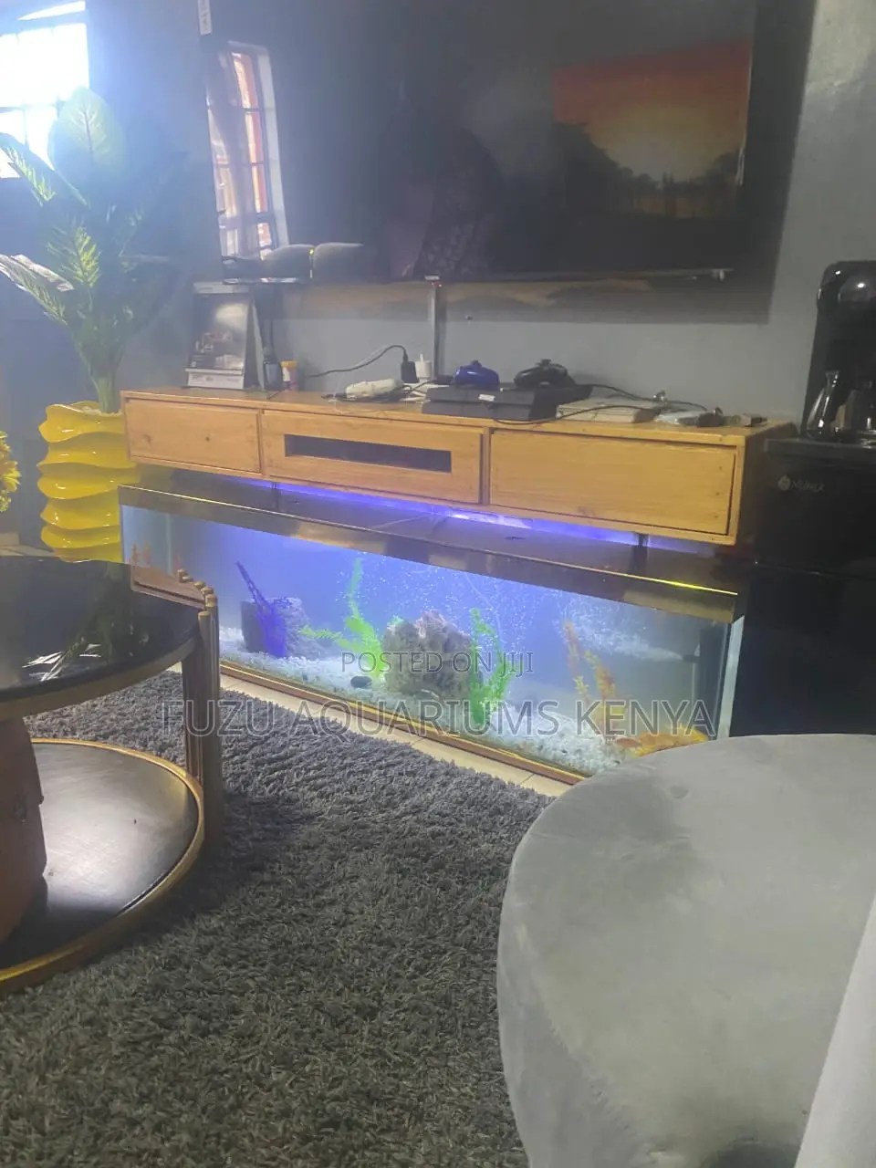 Gold Tv Stand Aquarium