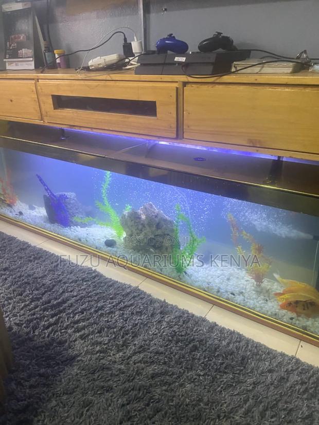 Wide Tv Stand Aquarium 5ft