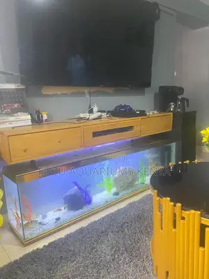 Unique Tv Stand Aquarium, Comes in Any Color