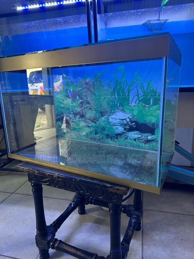 Brand New Desktop Aquarium - main view