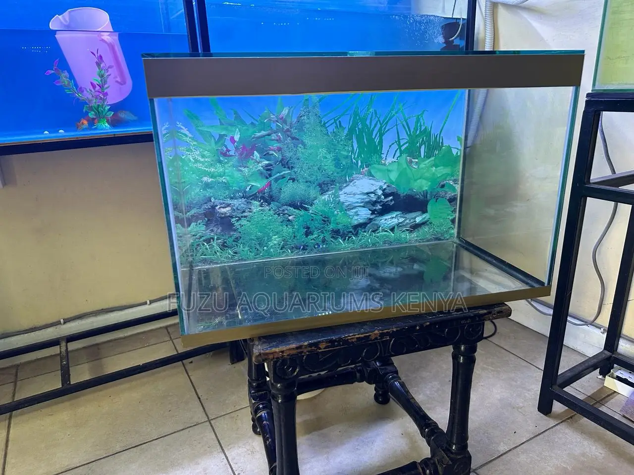 2ft Aquarium With Fish and Fill Deco