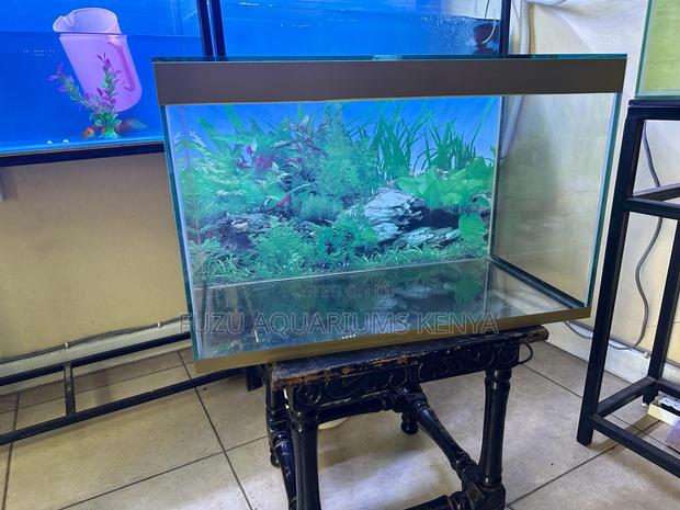 2ft Aquarium With Fish and Fill Deco - main view