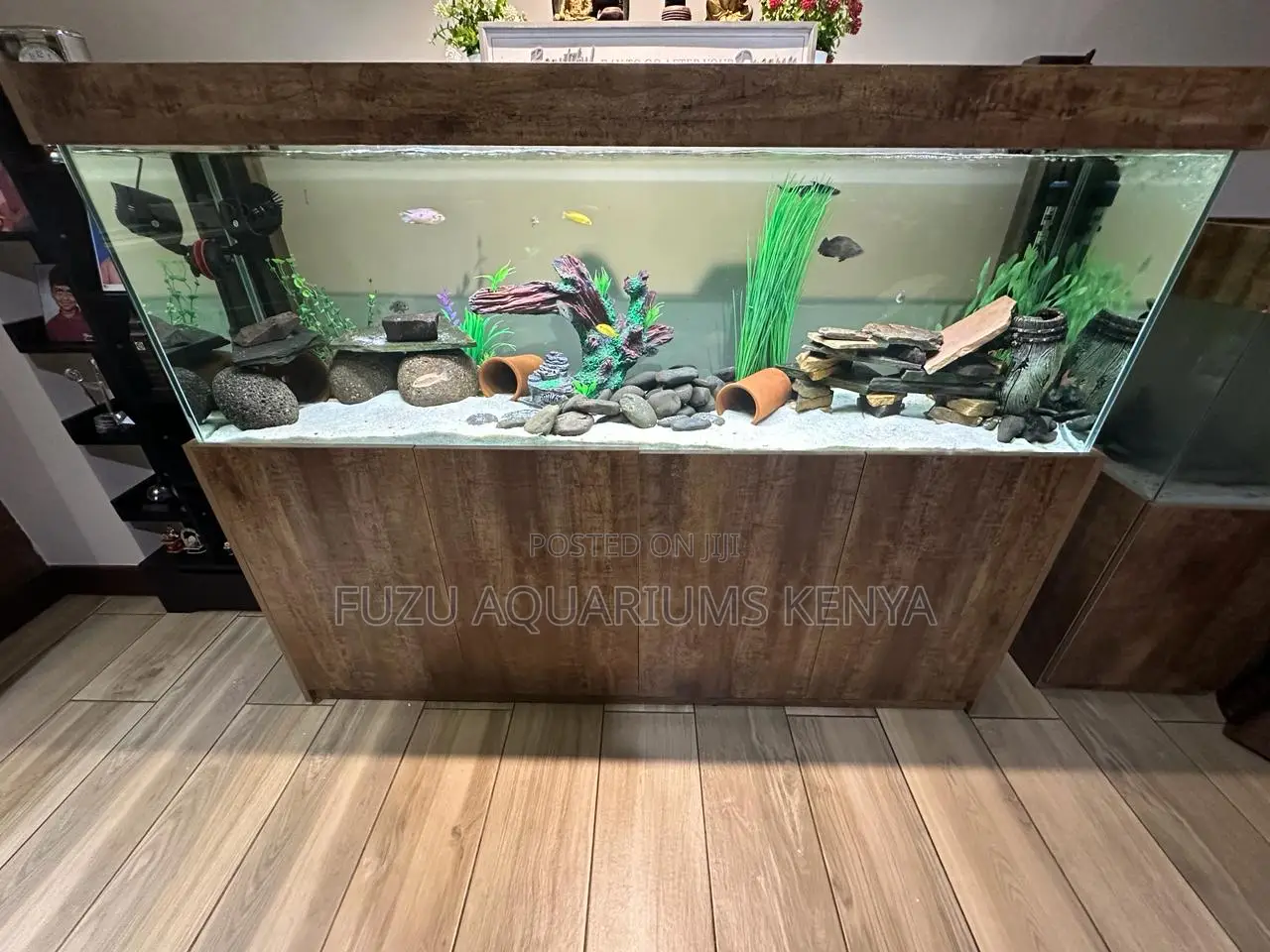 6ft Aquarium as It Is in the Pic
