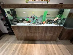6ft Aquarium as It Is in the Pic