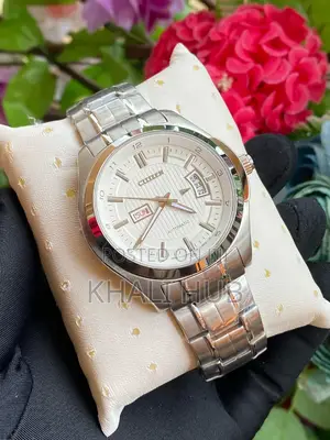 Citizen Watch Citizen Original Watch