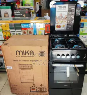 Standing Cooker Full Gas