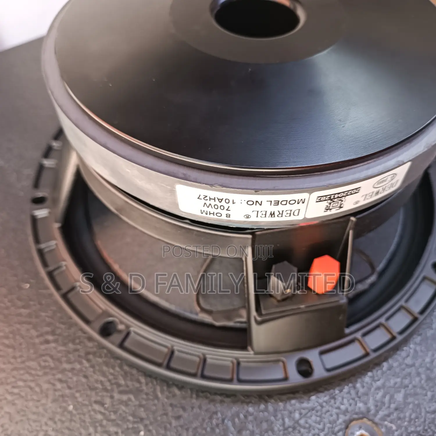 Derwel 10 Inch Naked Speaker 10AH27