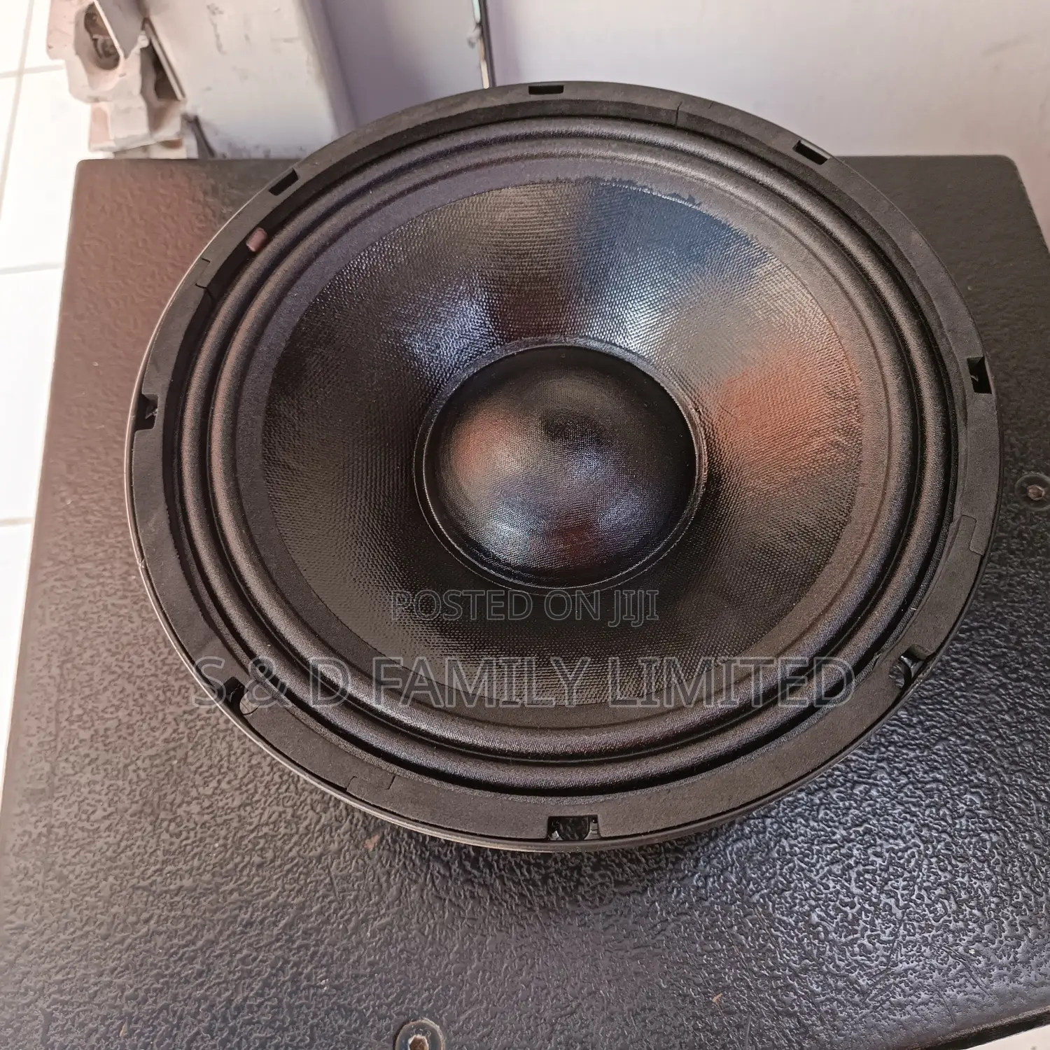 Derwel 10 Inch Naked Speaker 10AH27