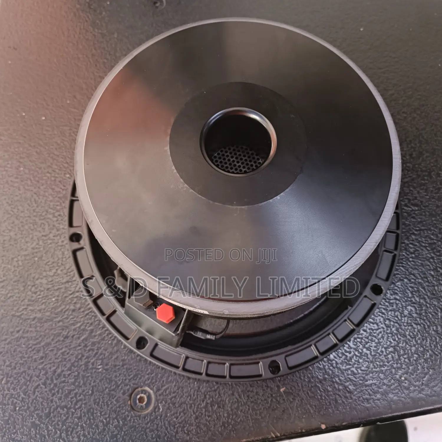 Derwel 10 Inch Naked Speaker 10AH27