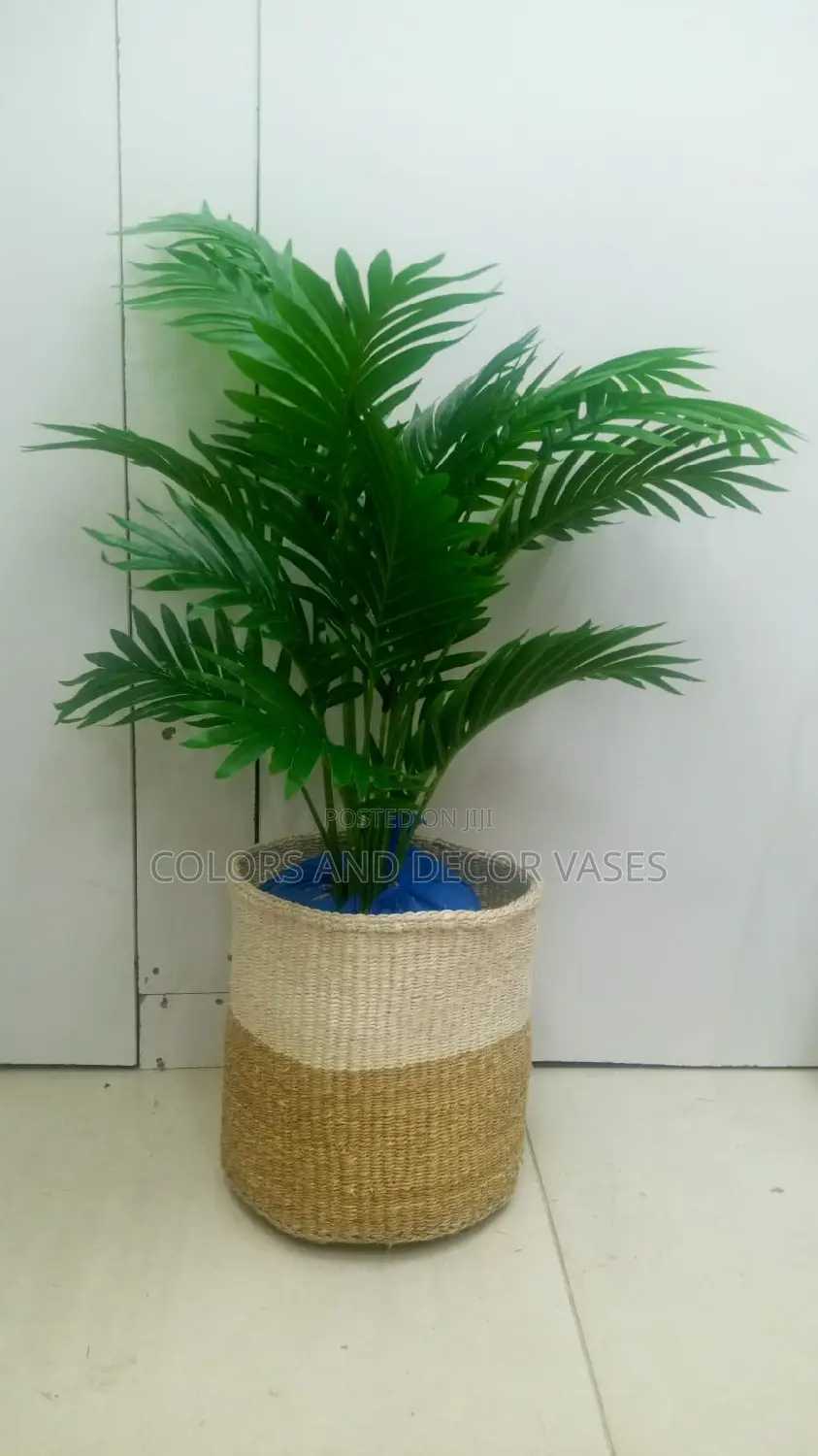 Basket, Palm Tree and Pebble White Stones