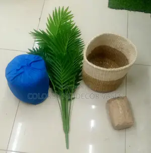 Palm Tree, Basket With Pebble Stones