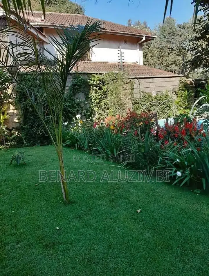 Landscaping and Gardening Maintenance Services