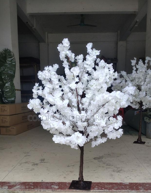 Blossom Trees Available On Order - main view