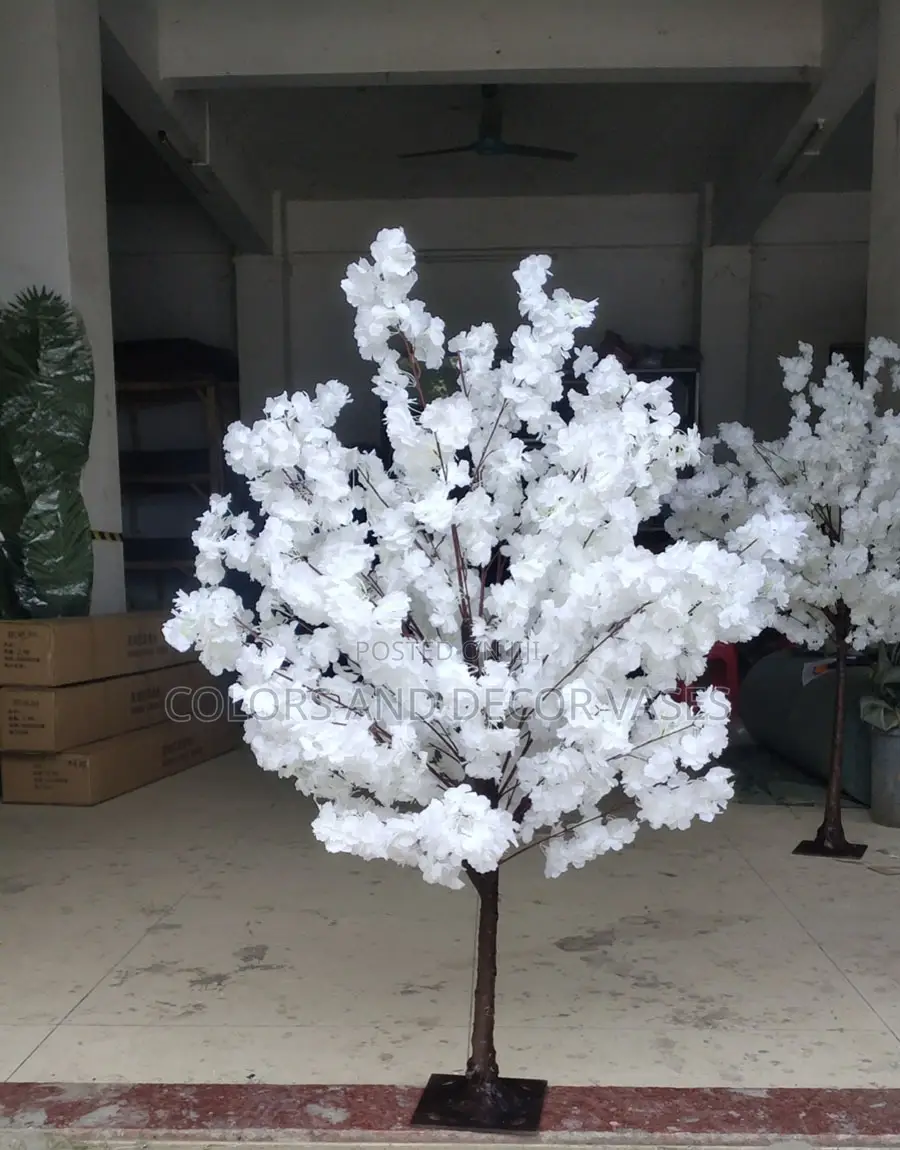 Blossom Trees Available On Order