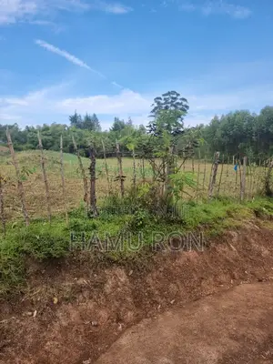 Mixed Use Prime Land for Sale, 1.6acres