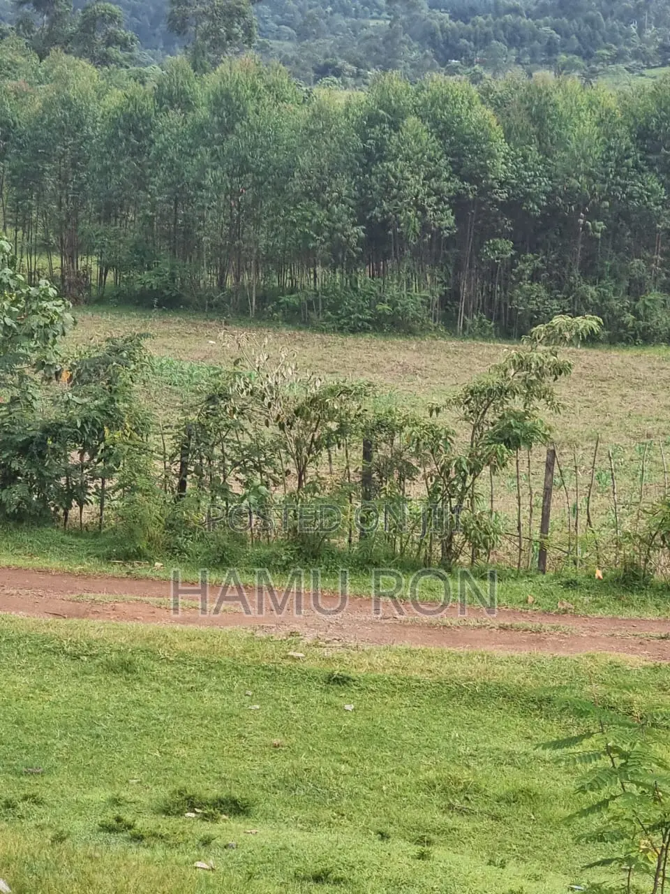 Mixed Use Prime Land for Sale, 1.6acres