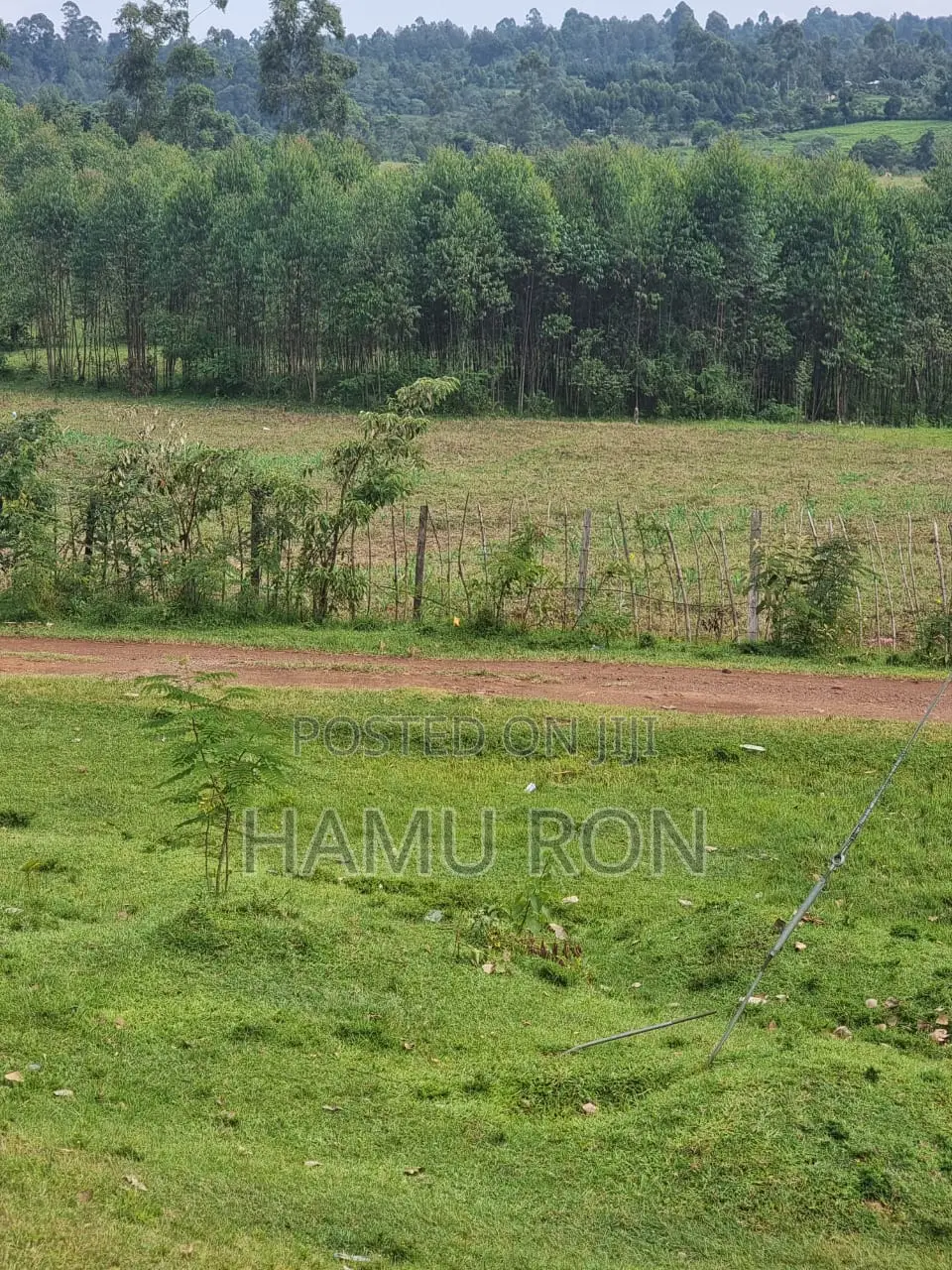 Mixed Use Prime Land for Sale, 1.6acres