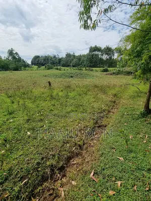 Mixed Use Prime Land for Sale, 1.6acres