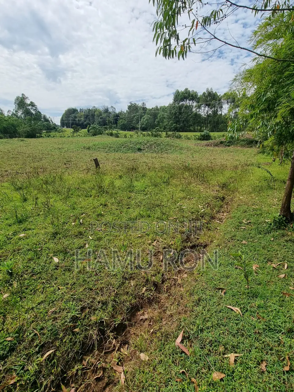 Mixed Use Prime Land for Sale, 1.6acres
