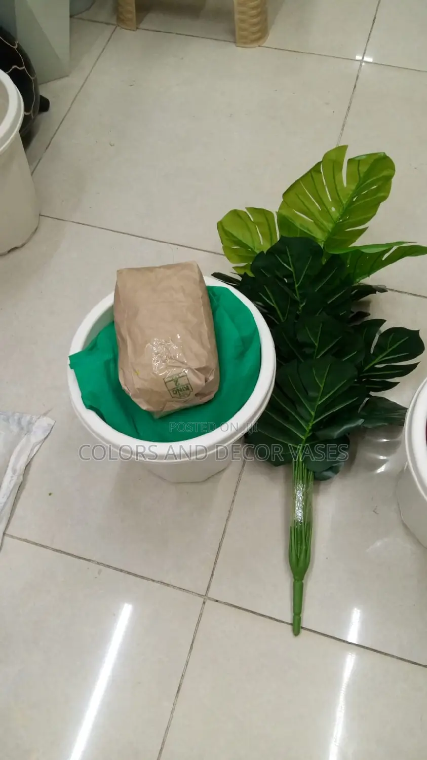 Monstera Plant, Plastic Vase and Pebble Stones