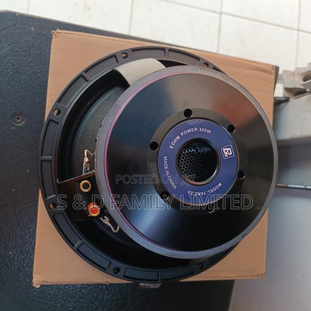 BM 10AZ20 Naked Speaker