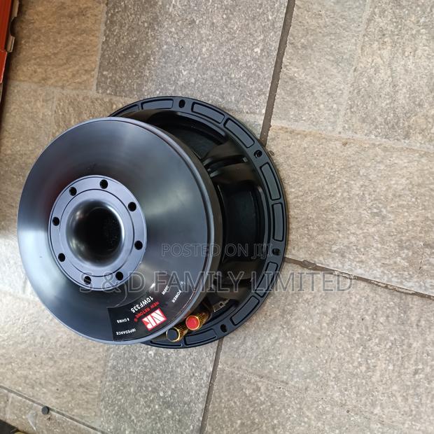 NR 10WF335 Naked Speaker