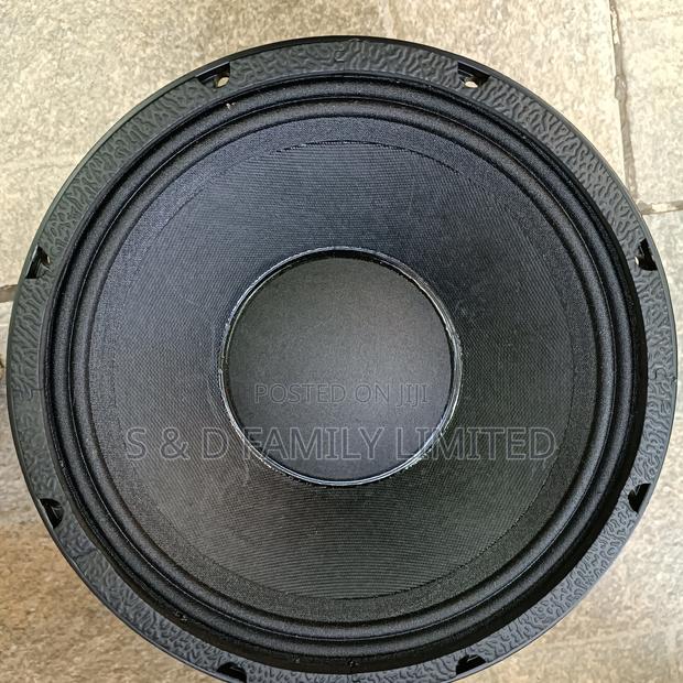NR 10WF335 Naked Speaker - thumbnail 2