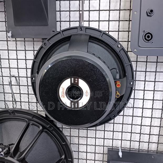 Derwel 10AH8 Naked Speaker 10 Inch