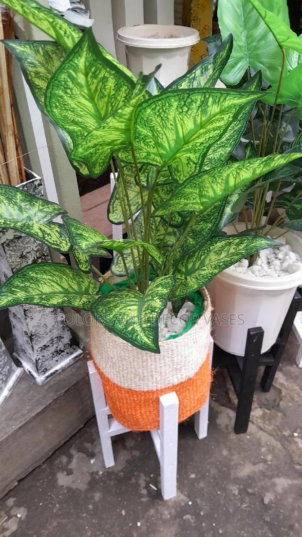 Plant, Sisal Basket With Pebble Stones - main view