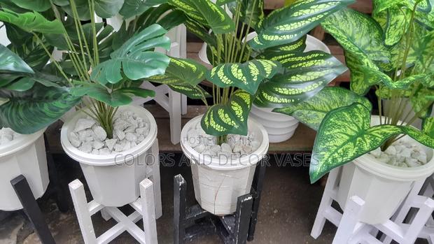 Plant With Pebble Stones and Artificial Plant Plus Stand