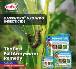 Password 5.7% WDG Insecticide