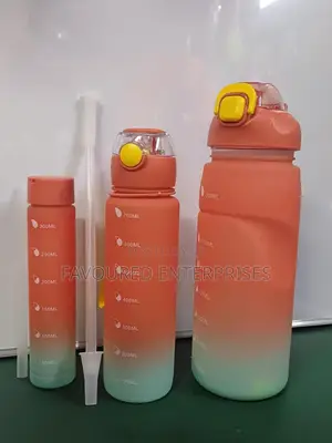 3 In 1 Motivational Water Bottle With Stamp And Straw