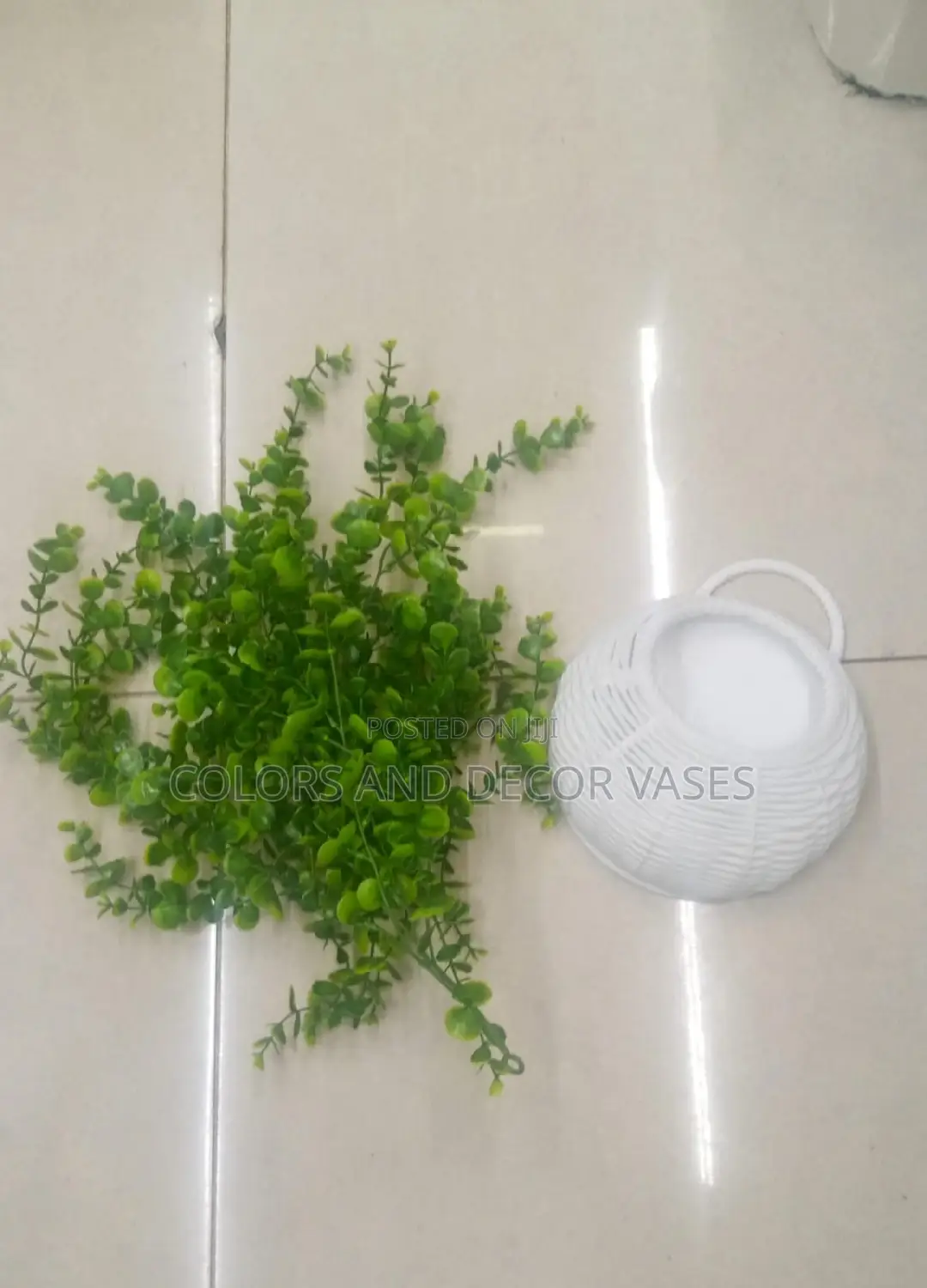 Vase Plus Vines