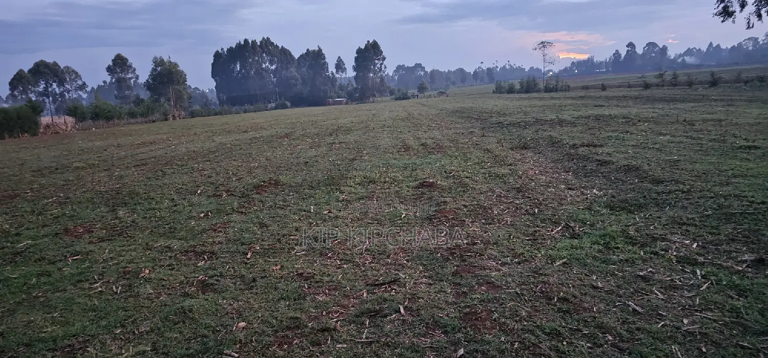2 Acres Arable Land For Sale Kiplombe Kaptebengwet Eldoret